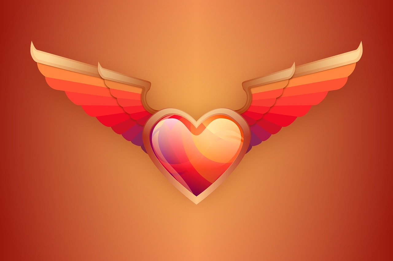 love, heart, wings