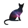 cat, outer space, galaxy