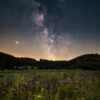 starry sky, flower meadow, flower background