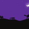 camels, desert, moon