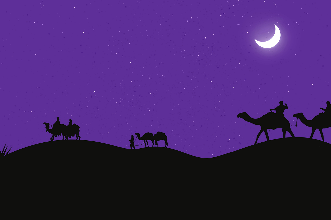 camels, desert, moon