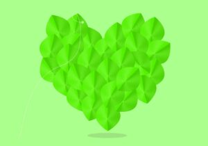 heart, romantic, green heart