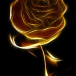 rose, black, gold