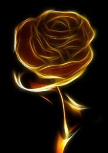 rose, black, gold