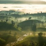 sunset, tea, hill