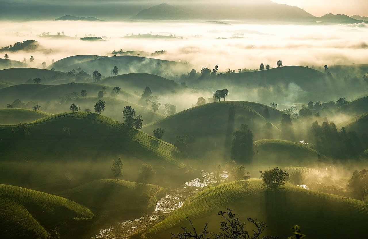 sunset, tea, hill