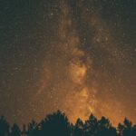 silhouette photography of trees and sky