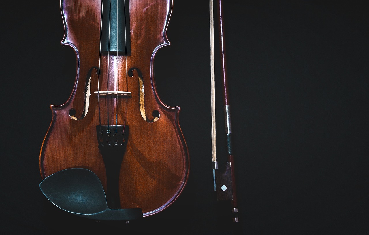 bowed instrument, violin, classical music