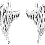 angel, wings, angel wings