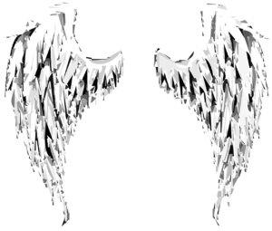 angel, wings, angel wings