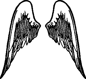 wings, angel, feather