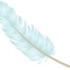 feather, blue, baby blue