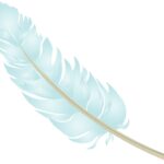 feather, blue, baby blue