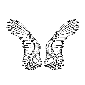 wings, angel, linear