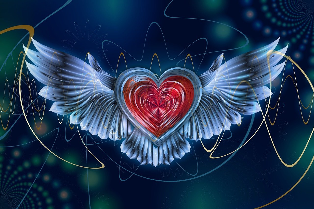 wing, heart, waves