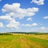 summer, field, sky