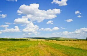 summer, field, sky