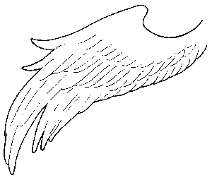 wing, angel, drawing