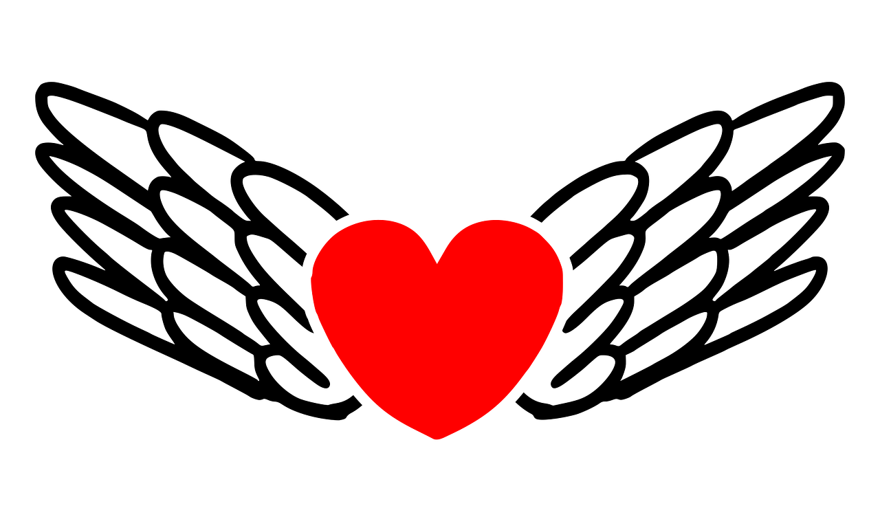 love, heart, wings