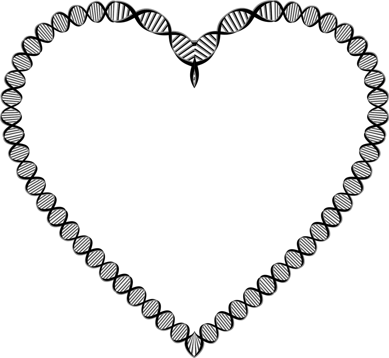 biology, border, cells