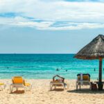 brown beach umbrellas on beach during daytime