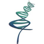 deoxyribonucleic acid, graphic, dna