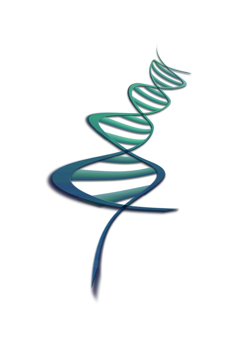 deoxyribonucleic acid, graphic, dna